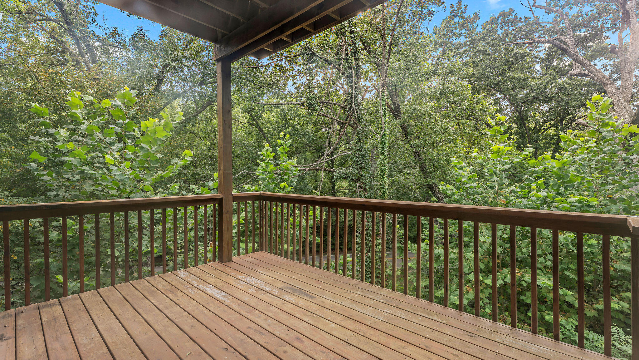 4307 Zoe Ln Property Photo 72