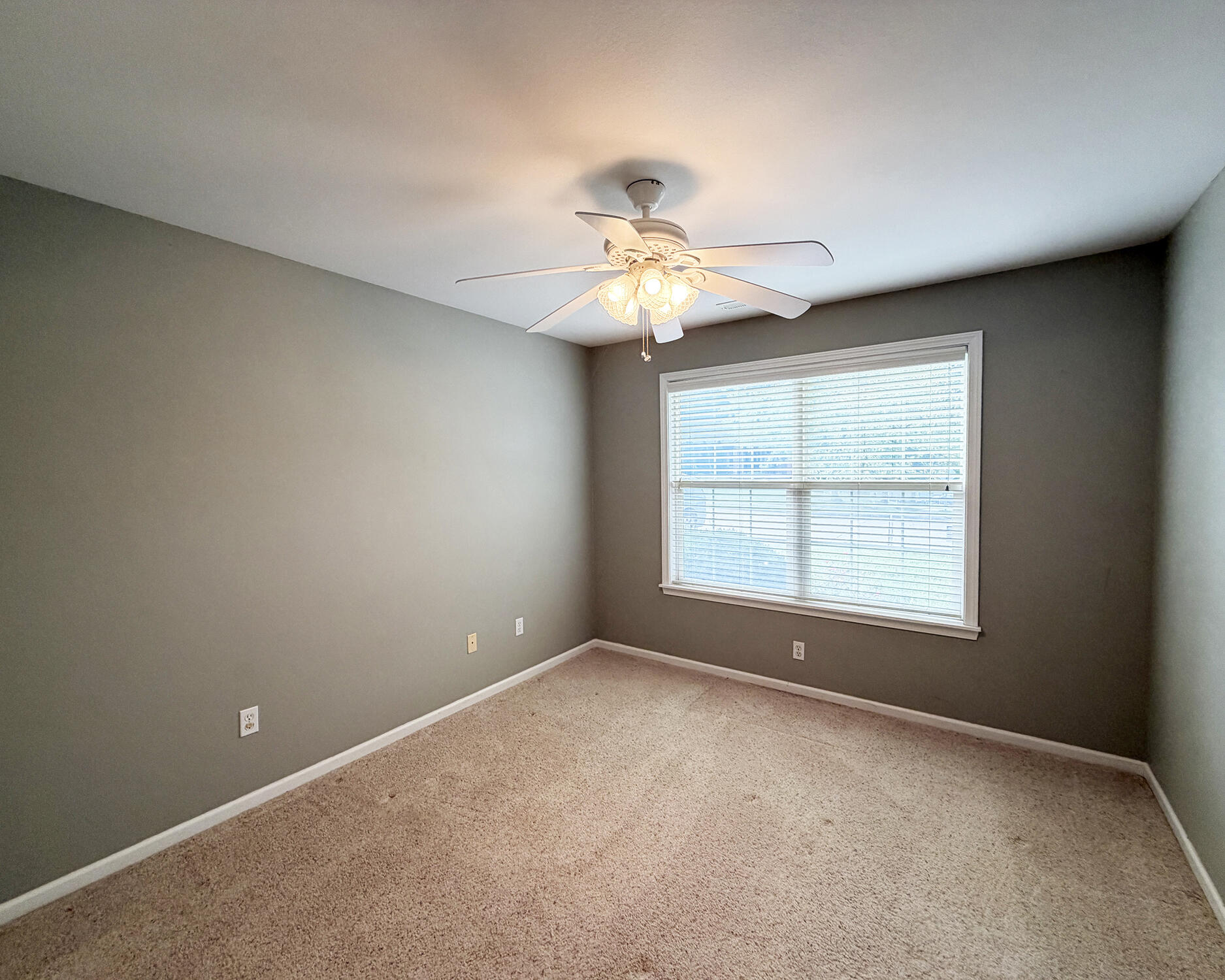 4507 Timber Ln Property Photo 12