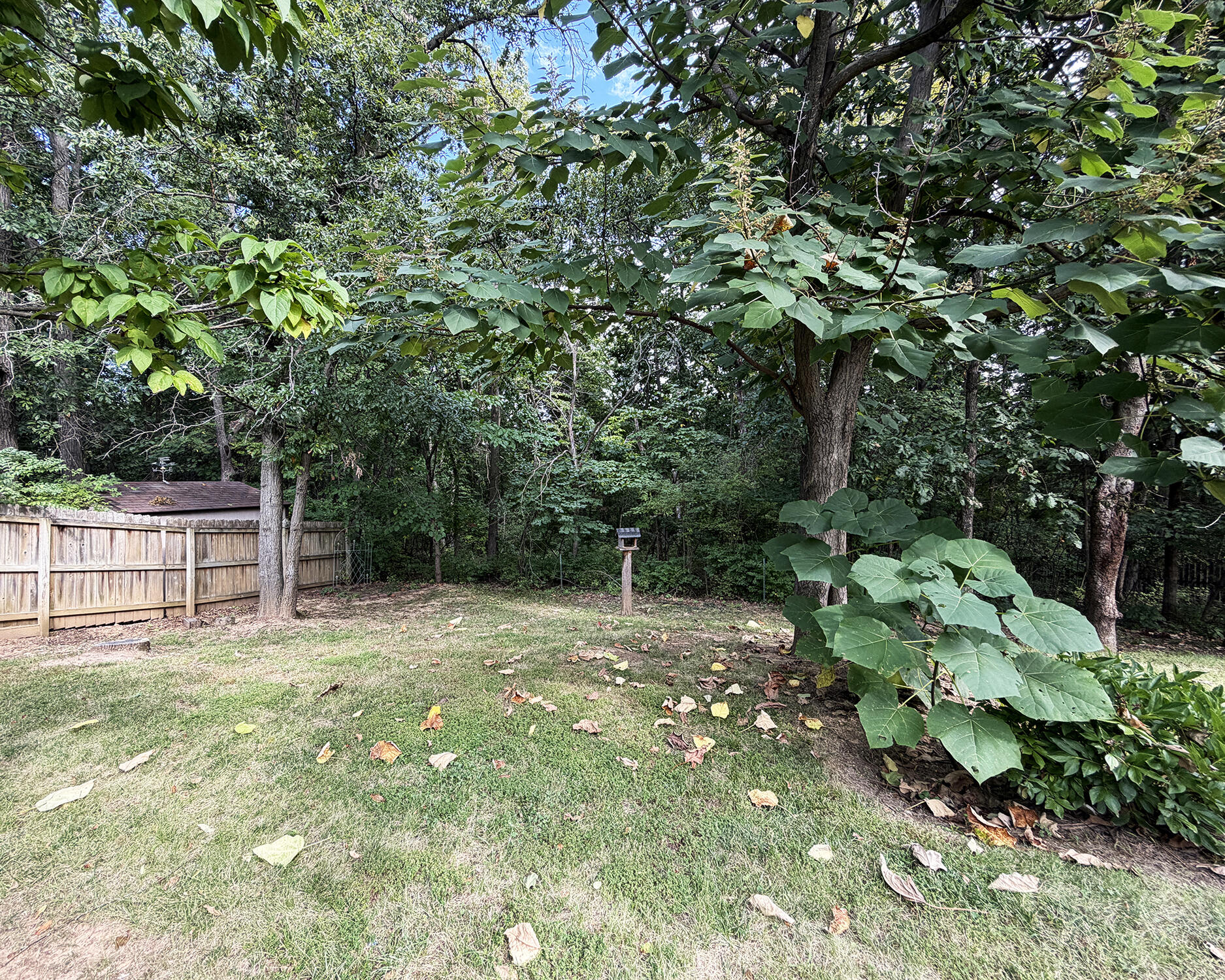 4507 Timber Ln Property Photo 15
