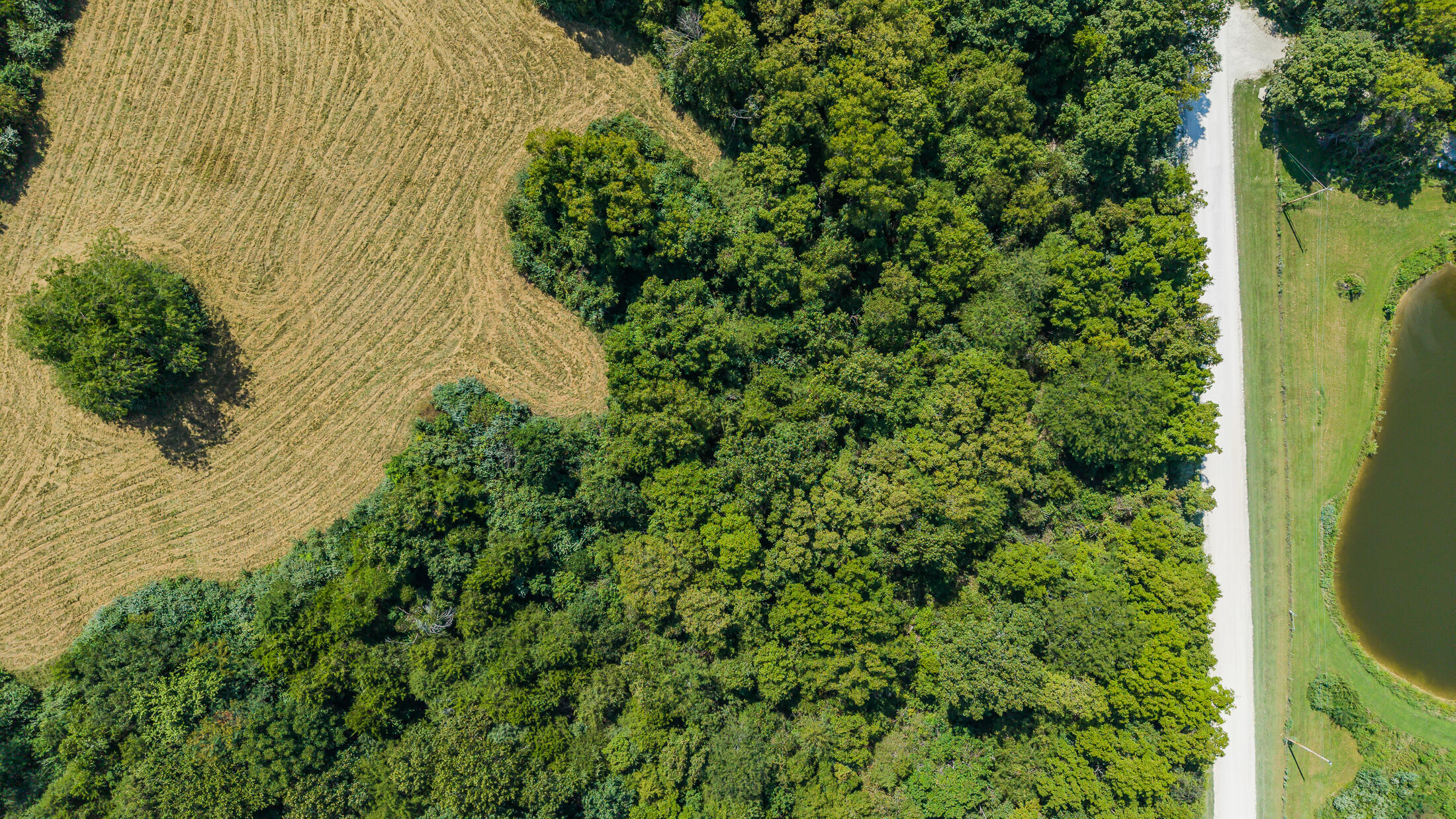 Tbd Tract 3 4.24 Ac County Rd 4008 Property Photo 1