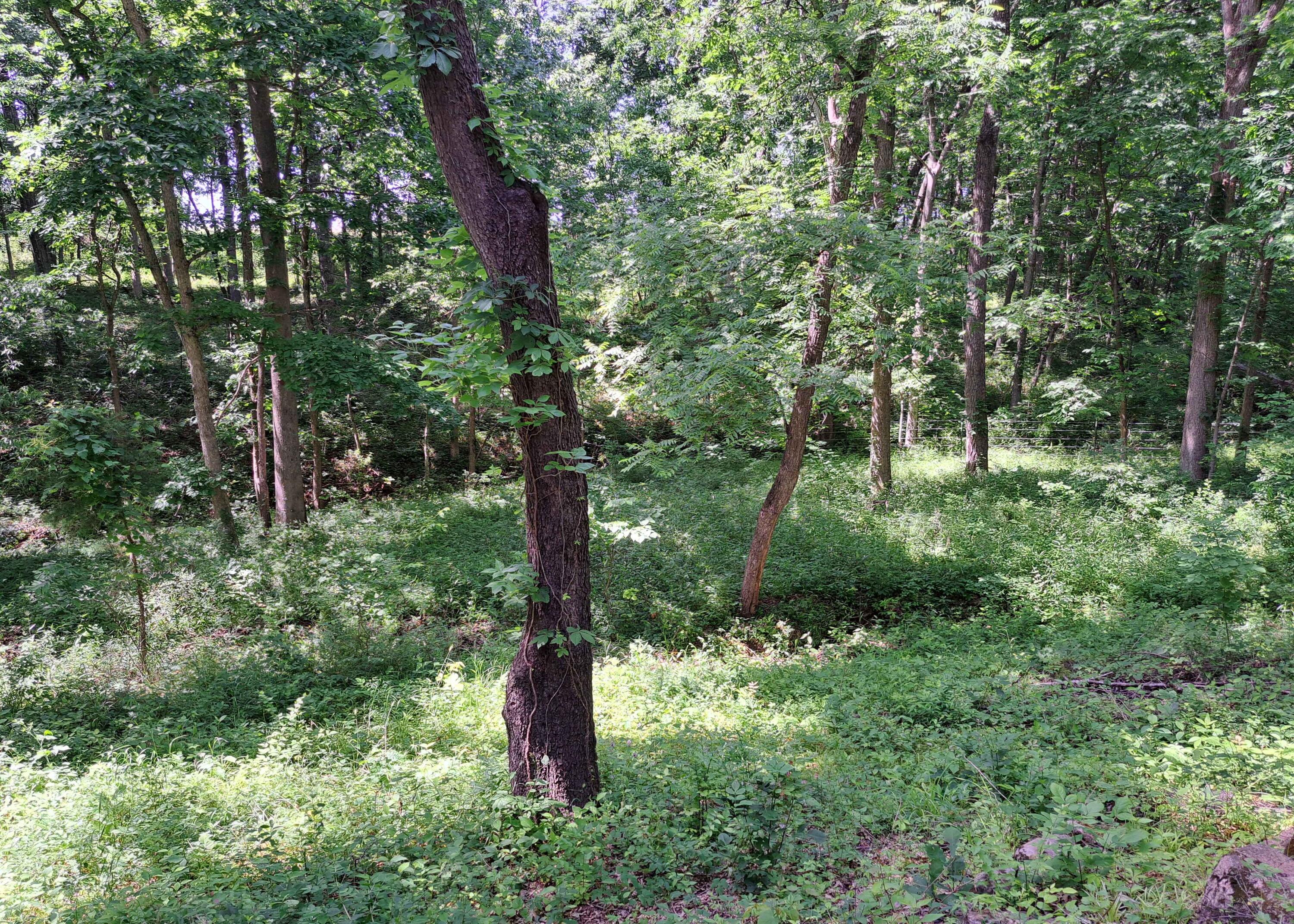 6701 N Bell Rd Property Photo 28