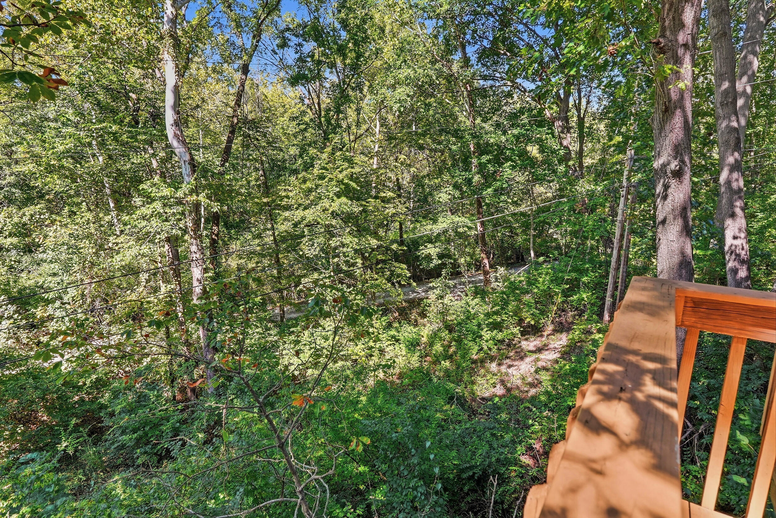 309 W Burnam Rd Property Photo 53