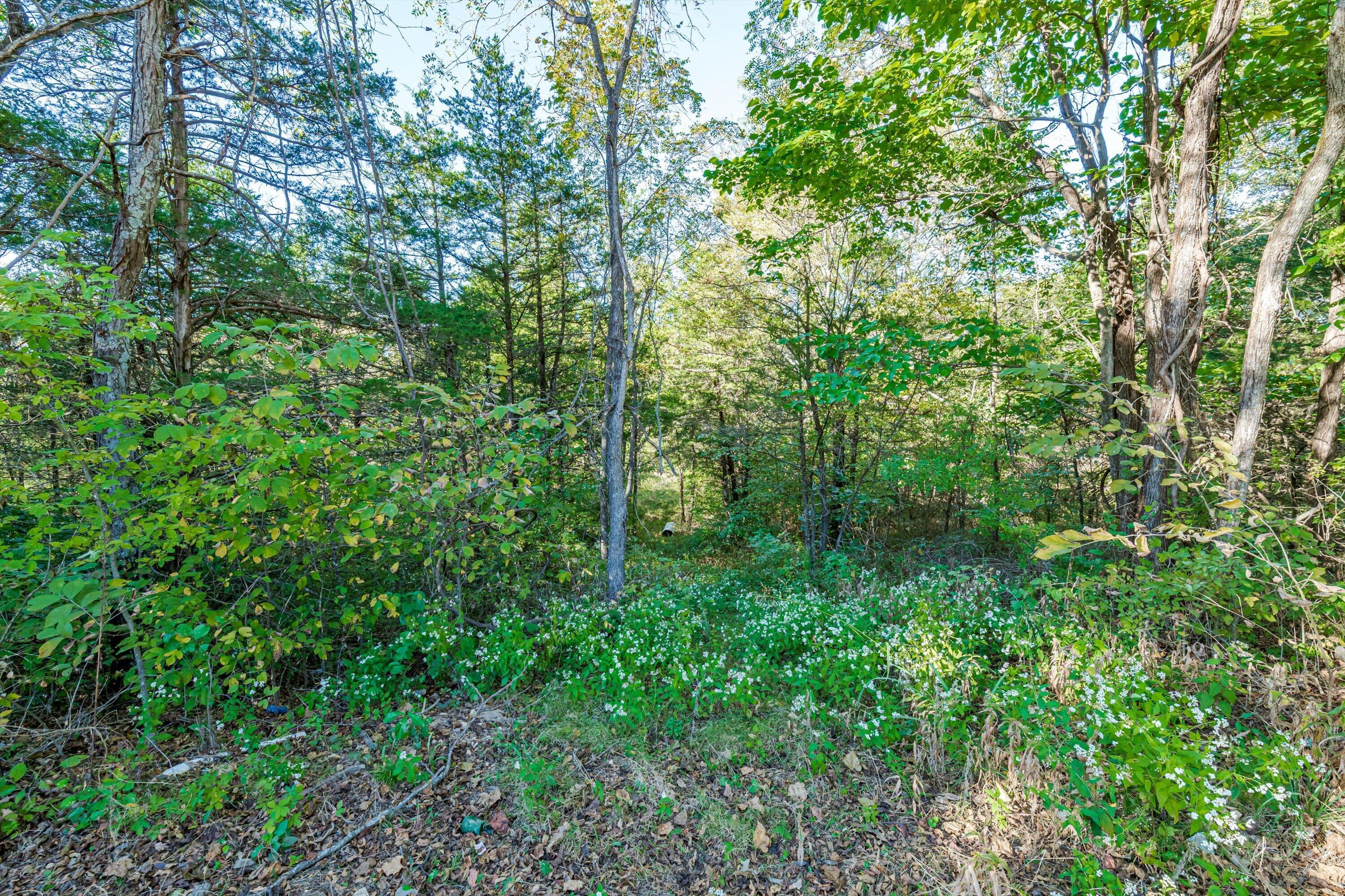 1426 Route E Property Photo 26
