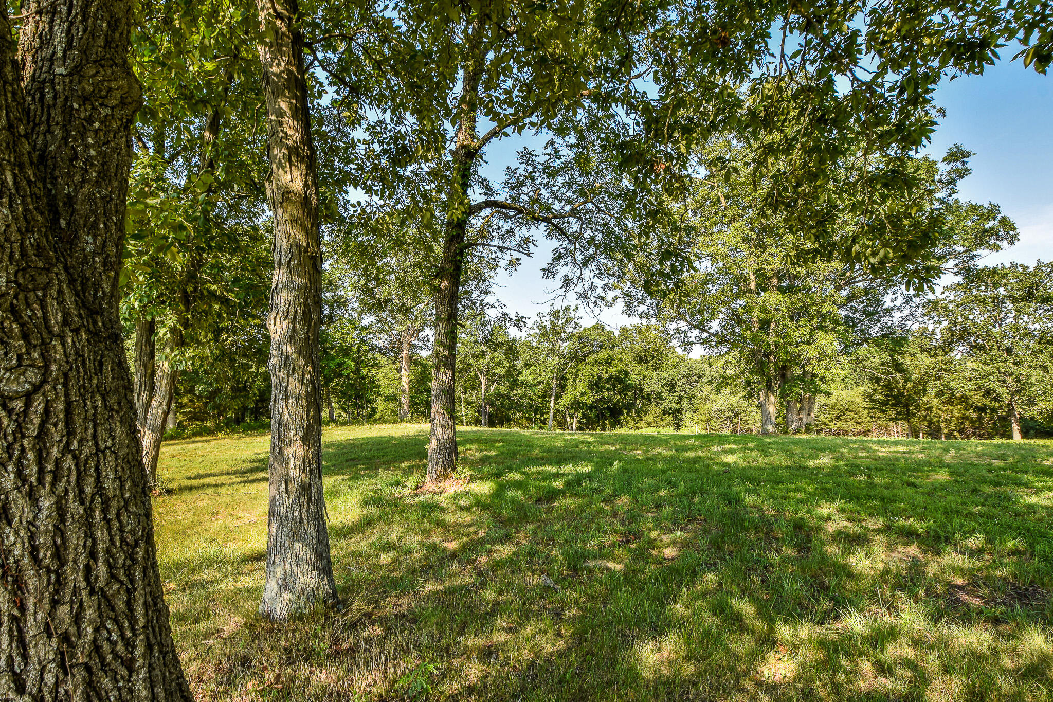 2680 Eagle View Spur Property Photo 5