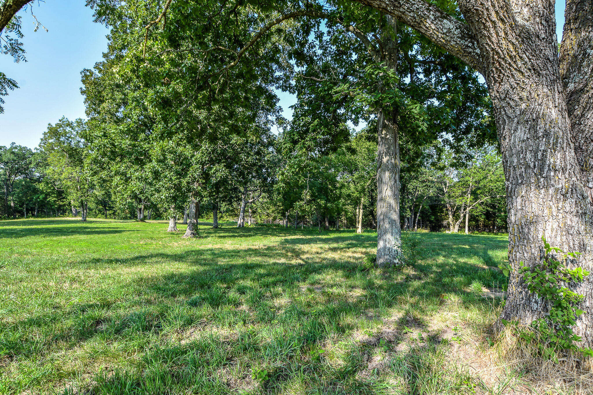 2670 Eagle View Spur Property Photo 4