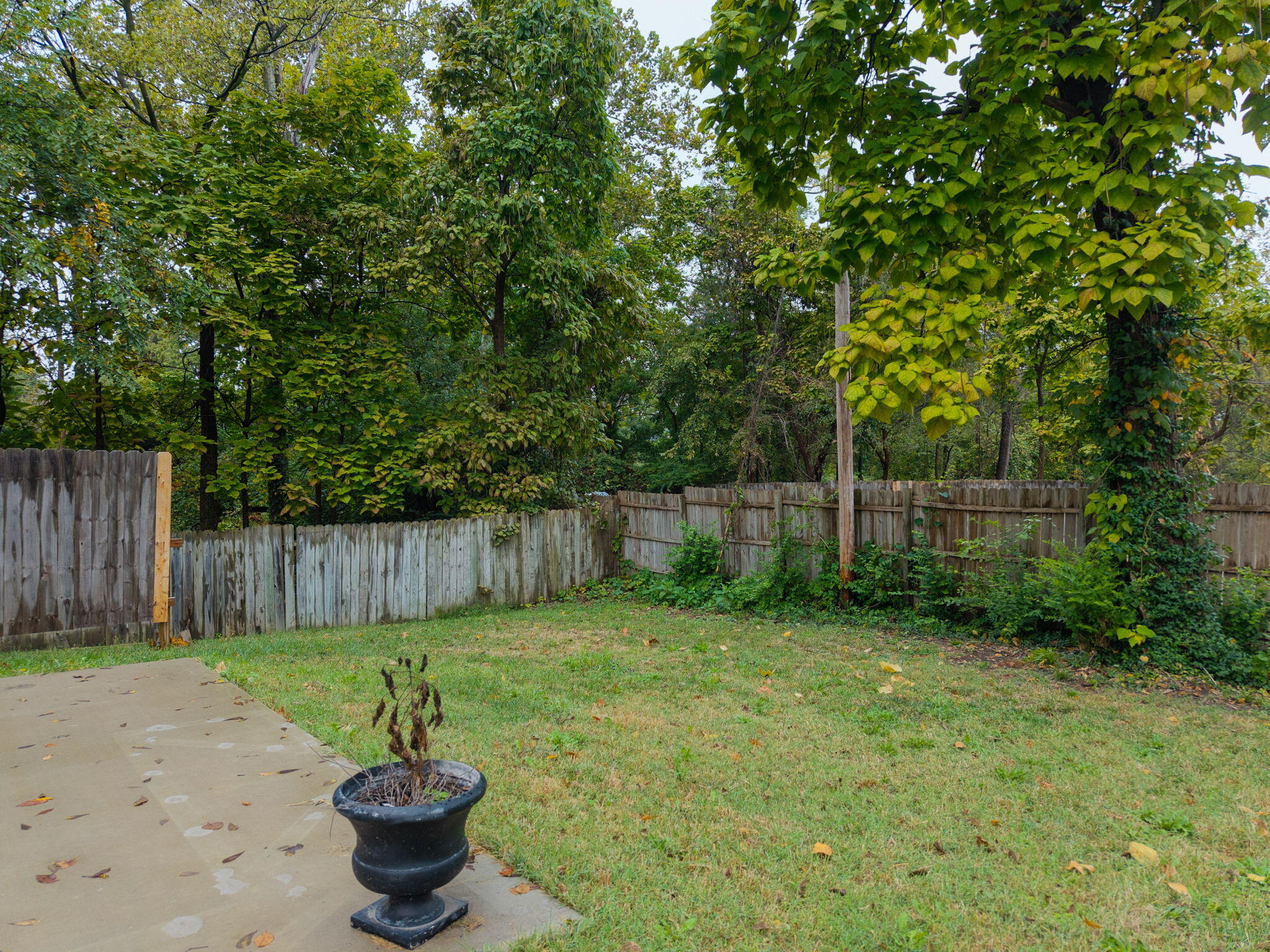 1203 Lakeview Ave Property Photo 32