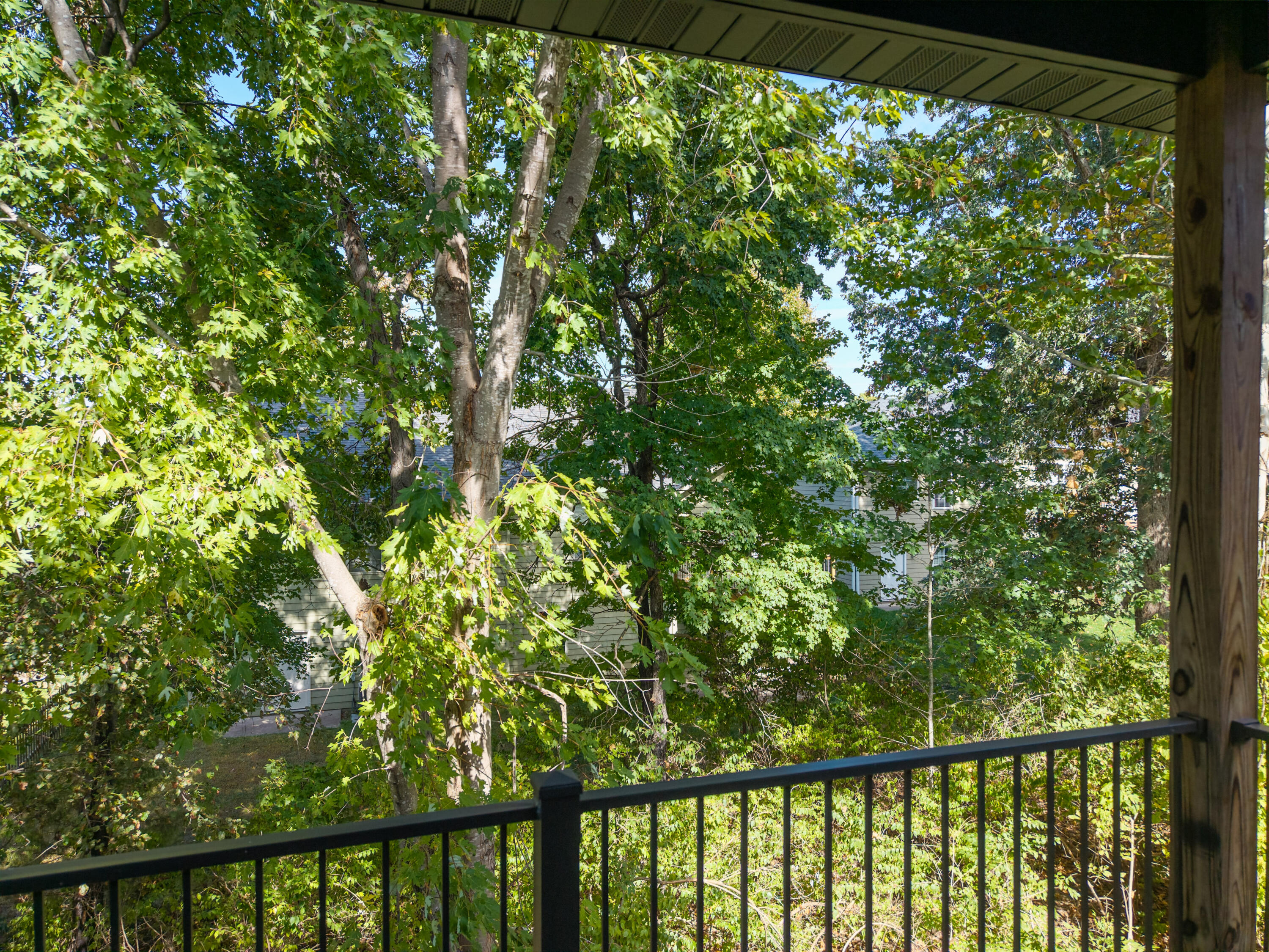5105 Fabian Ln Property Photo 19