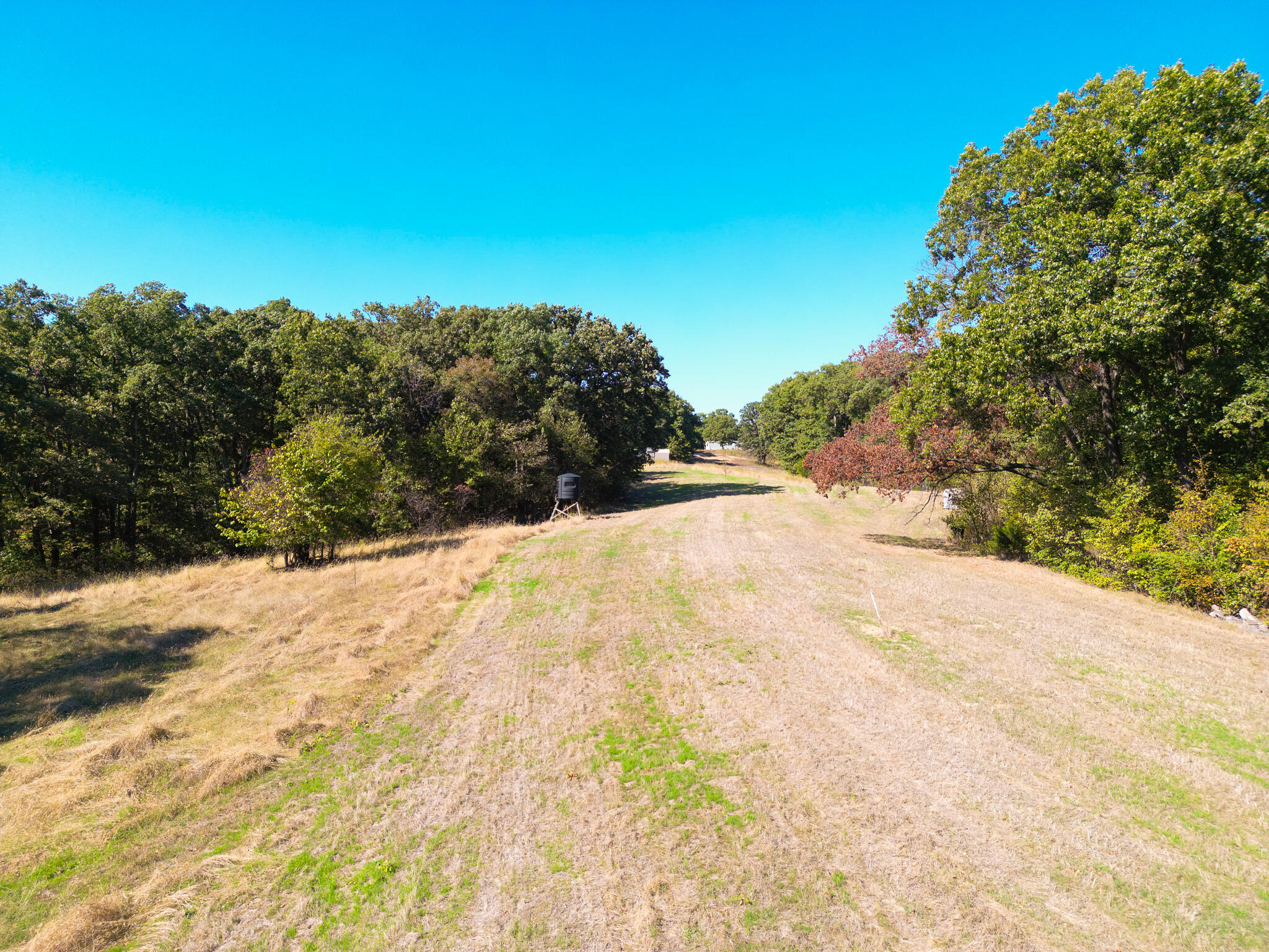 4840 State Rte A Property Photo 15