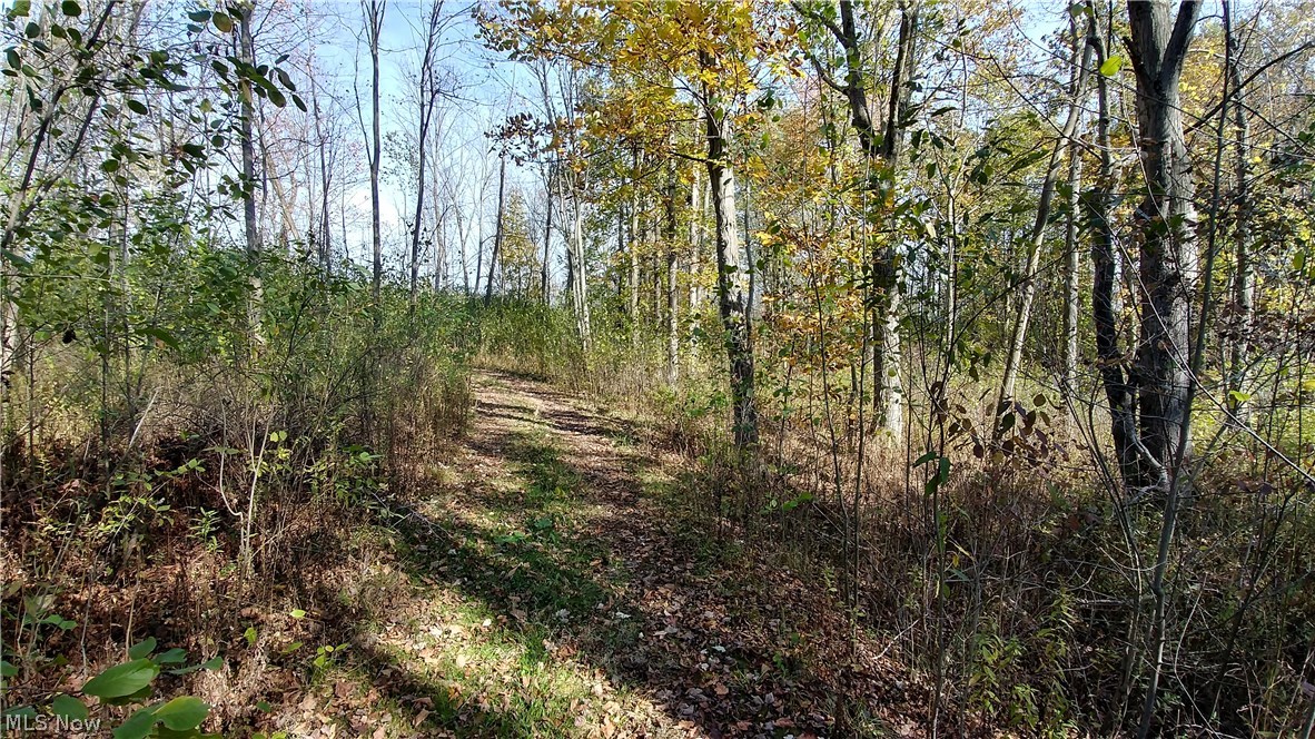 Aurora Hill Drive Property Photo 8