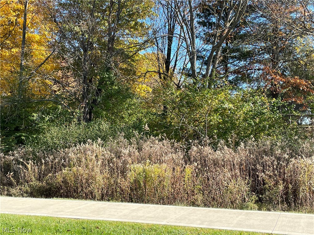 V/L Lawnmark Drive