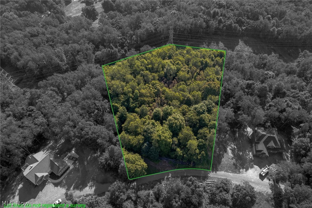 Vl Eagle Mountain Est Property Photo 2