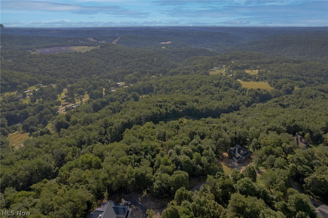 Vl Eagle Mountain Est Property Photo 4