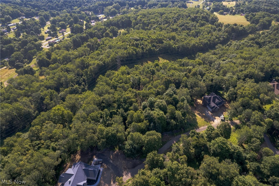 Vl Eagle Mountain Est Property Photo 5