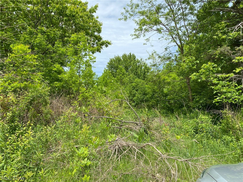 5323 N River State Rd 307 Road