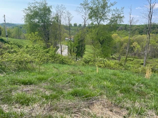 Country Boulevard Property Photo 2