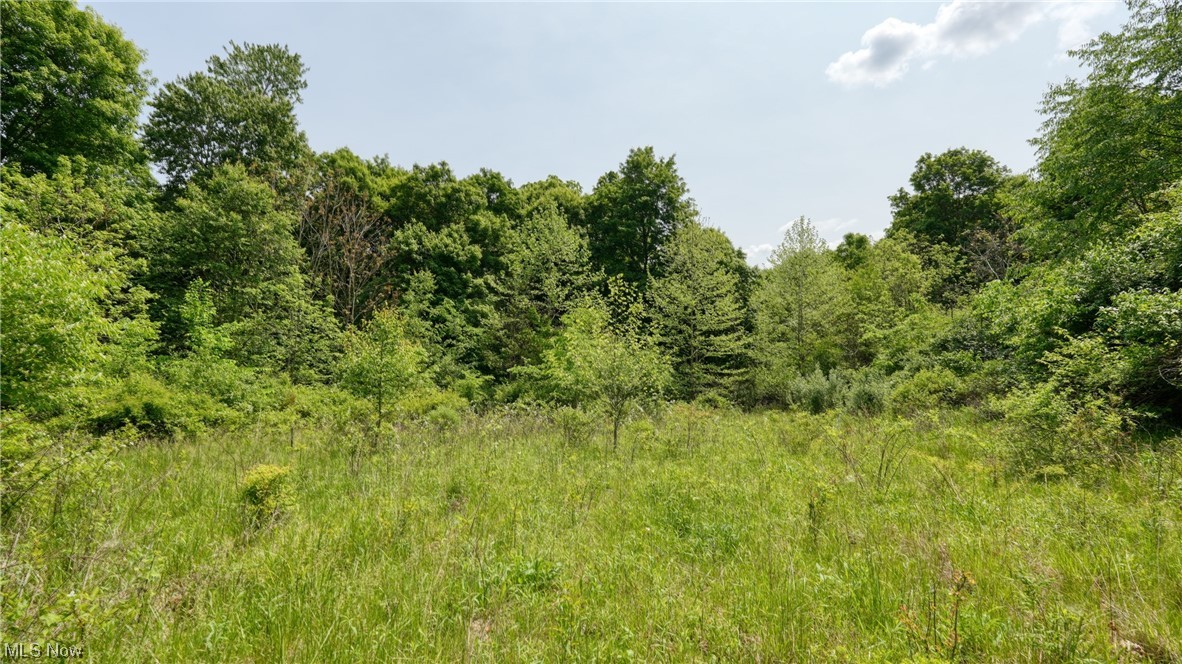 63680 Wintergreen Road Property Photo 3