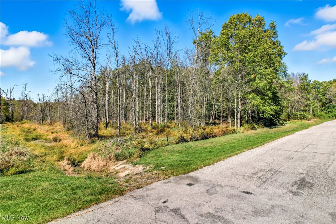 4 Nezbar Drive Property Photo 15