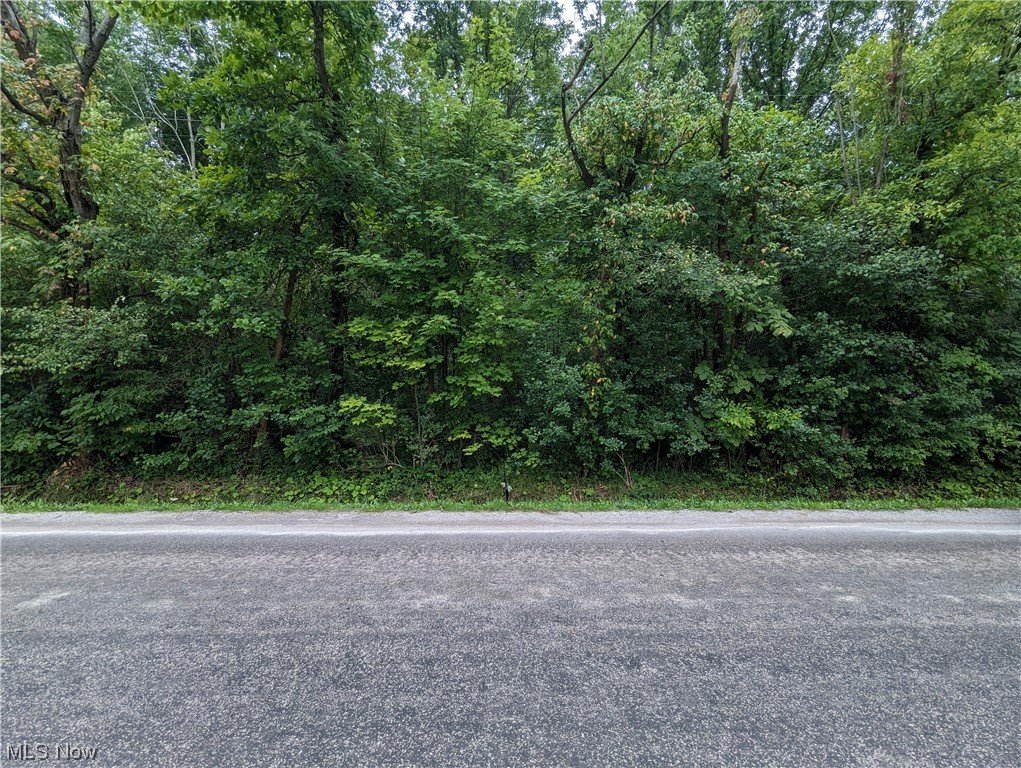 Peters Rd Property Photo 3