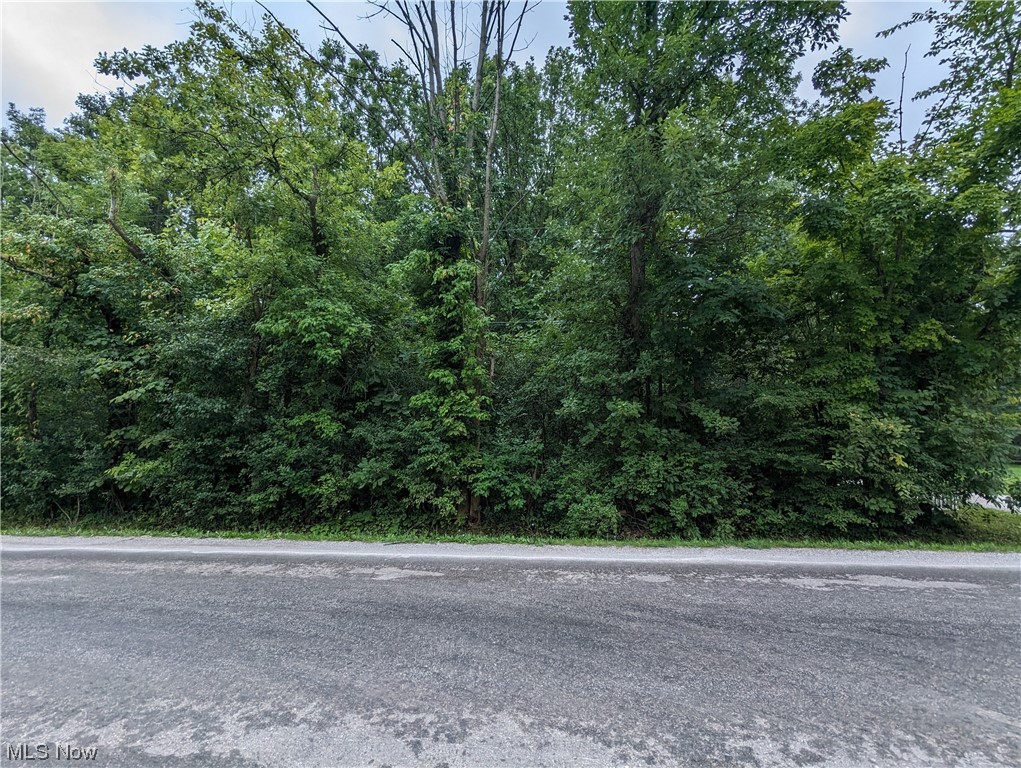 Peters Rd Property Photo 4