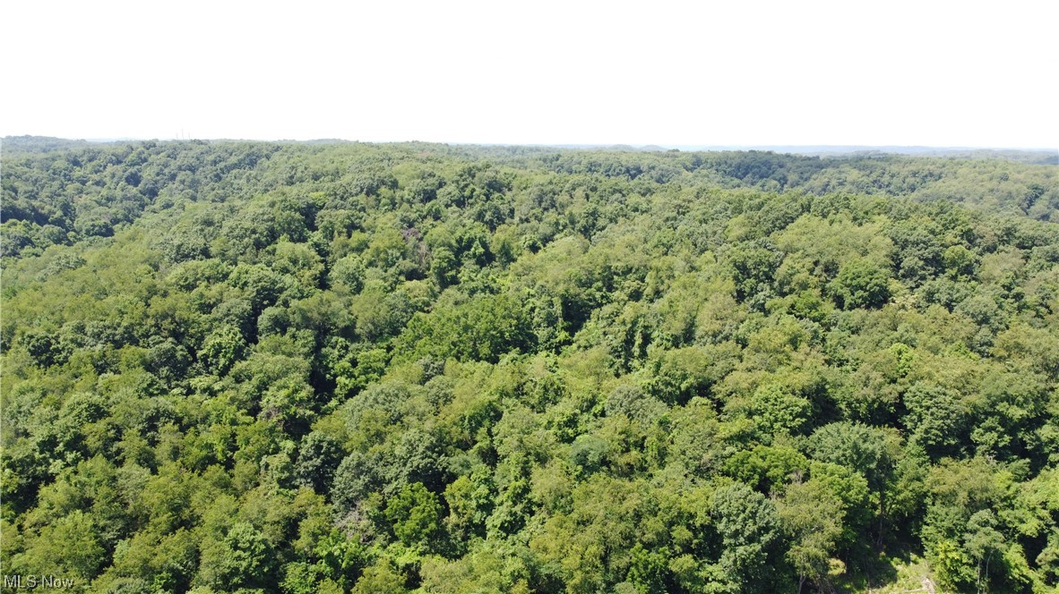 Tbd Locust Hill Road Property Photo 1