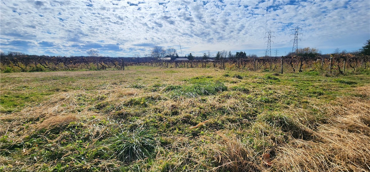 V/l Atkins Road Property Photo 21