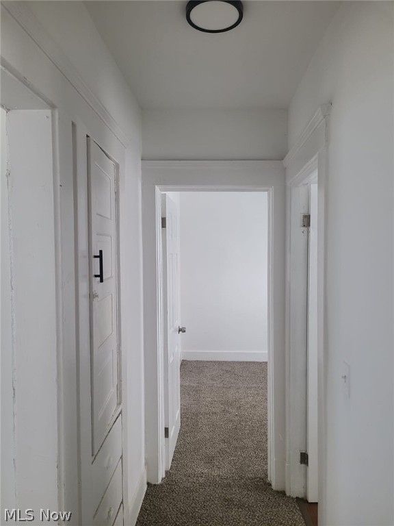 10124 Ostend Avenue Property Photo 20
