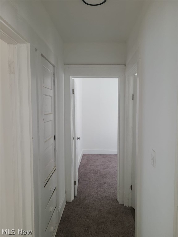10124 Ostend Avenue Property Photo 24