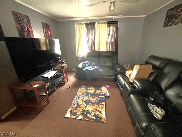 11721 Avon Avenue Property Photo 21