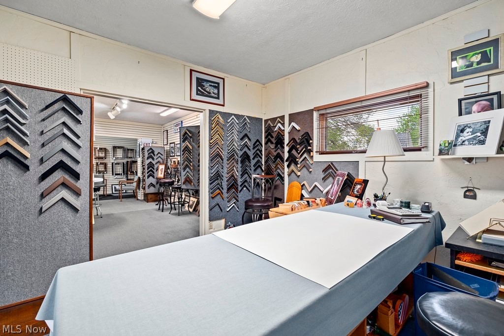 436 Cleveland Street Property Photo 10
