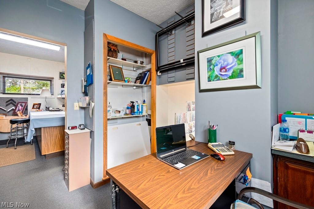 436 Cleveland Street Property Photo 12