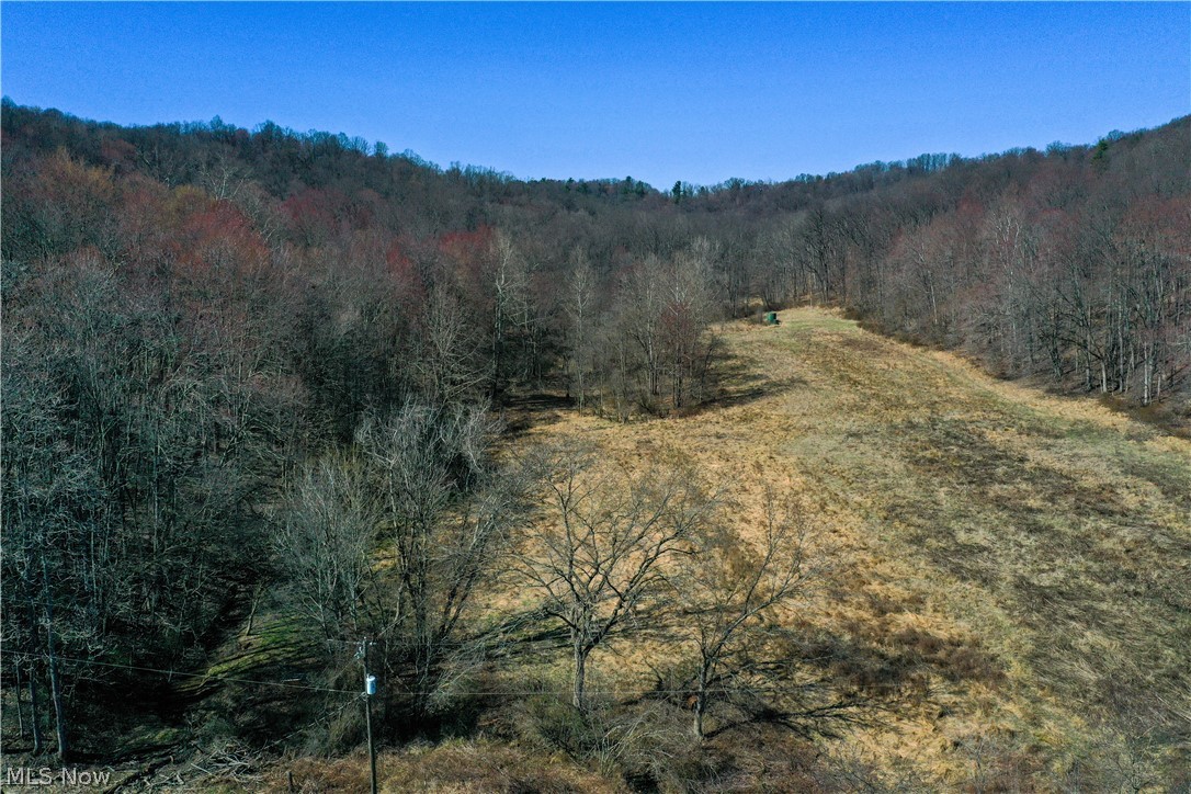 10345 Marne Road Property Photo 4