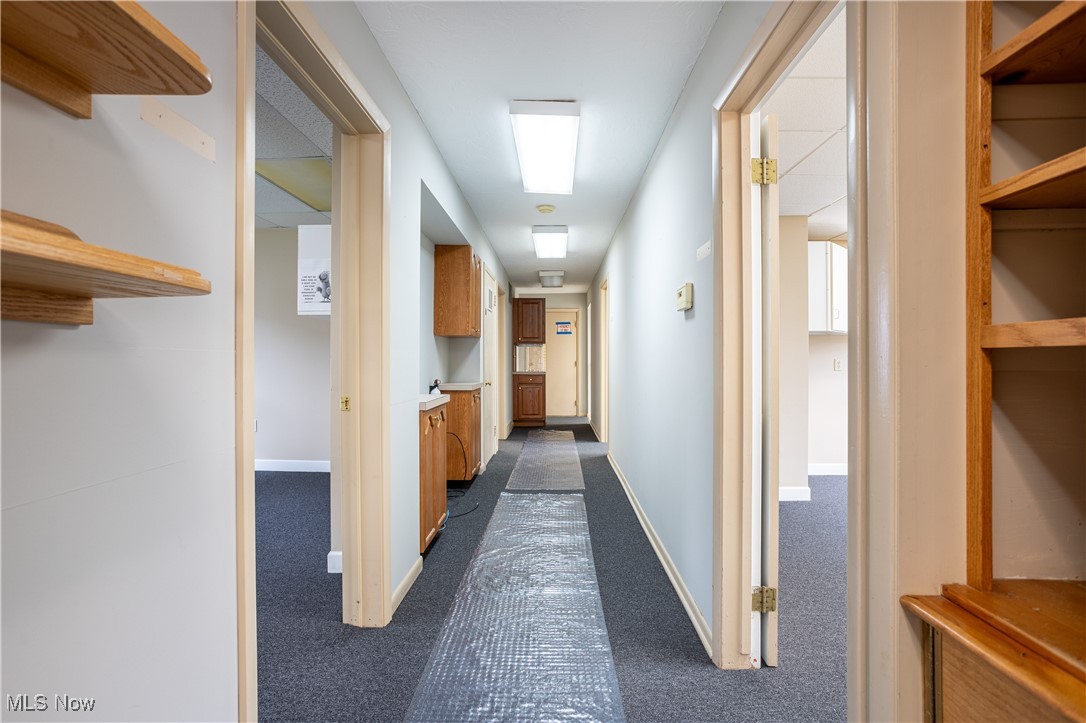 113 Harris Street Property Photo 6