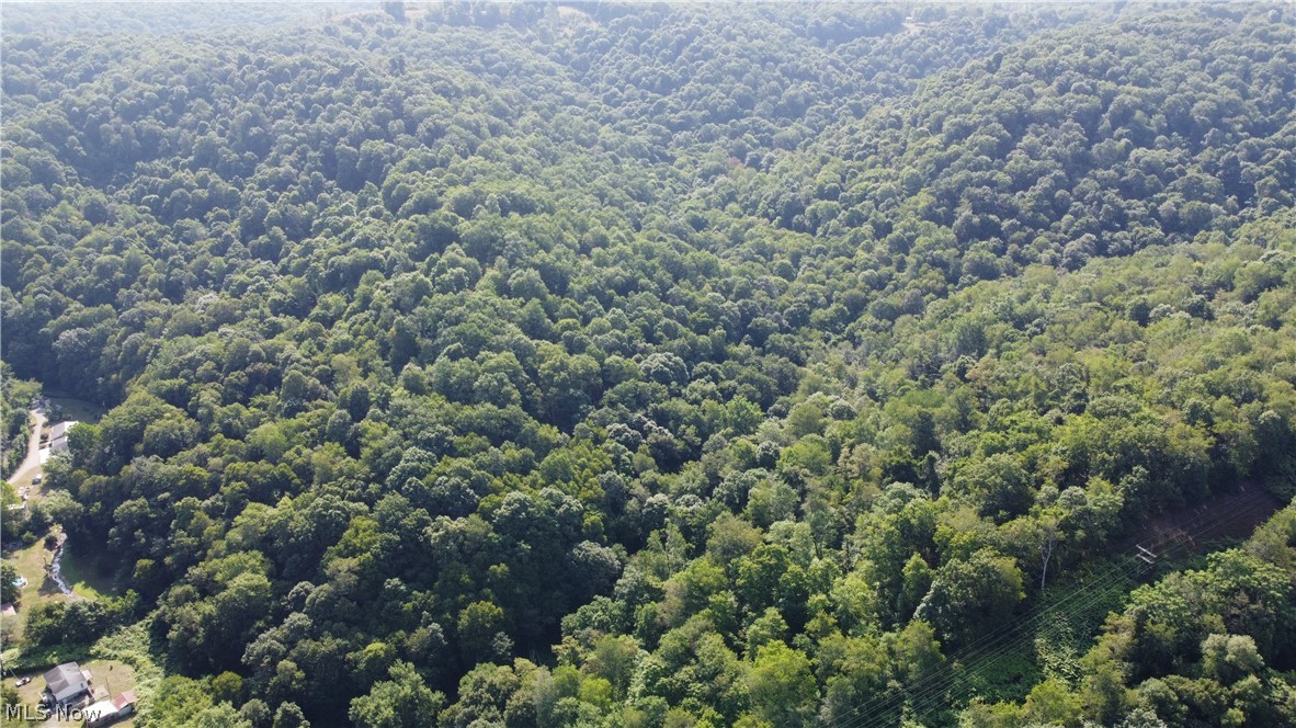 Ohio River Boulevard Property Photo 3