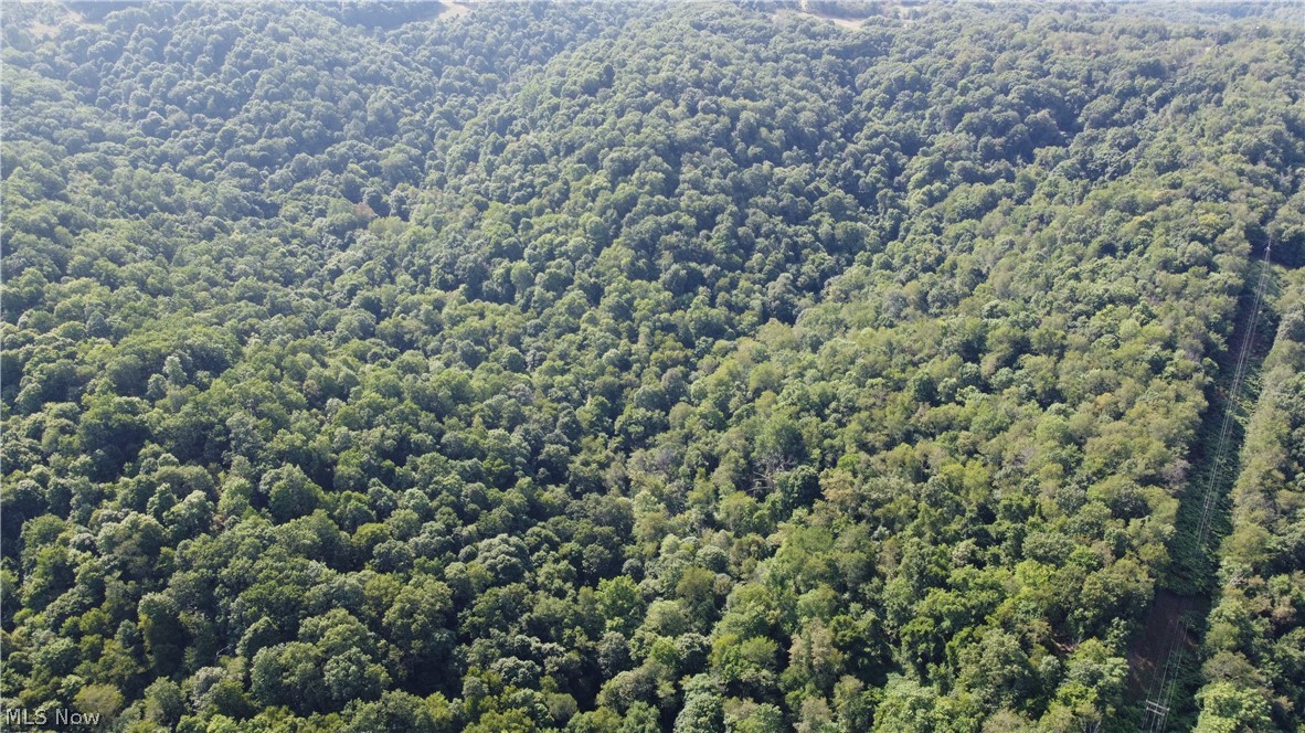 Ohio River Boulevard Property Photo 10
