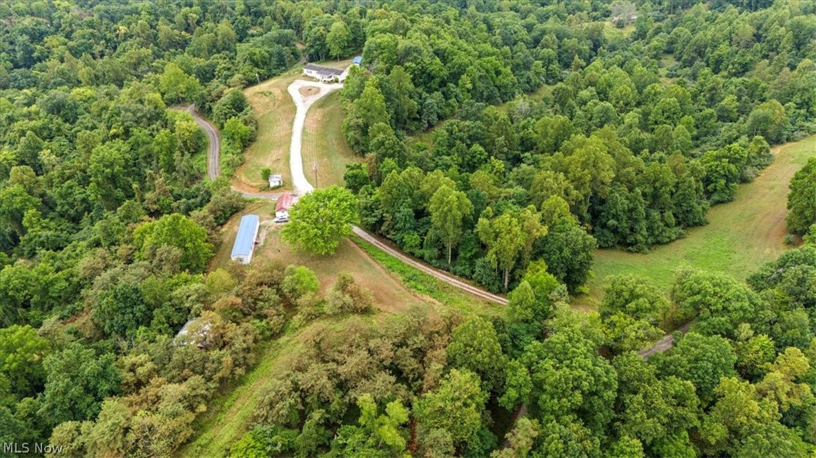 82 Patterson Ridge Property Photo 43