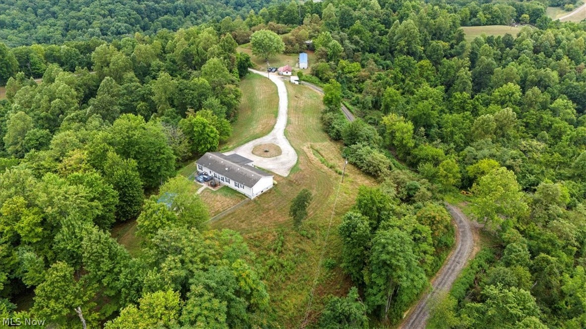 82 Patterson Ridge Property Photo 45