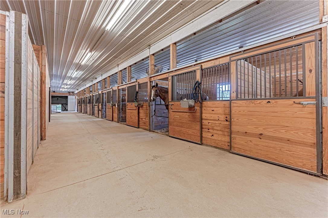 13829 County Line Road Property Photo 19