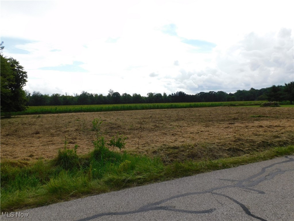 Reed Road Property Photo 4