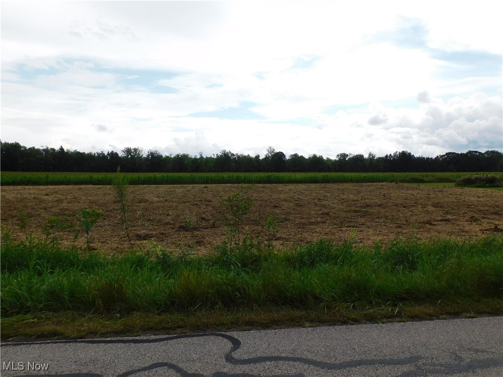 Reed Road Property Photo 5