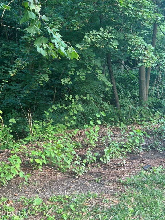 Maxwell Avenue Property Photo 2