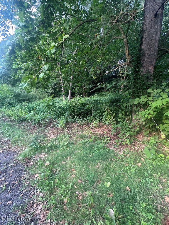 Maxwell Avenue Property Photo 4