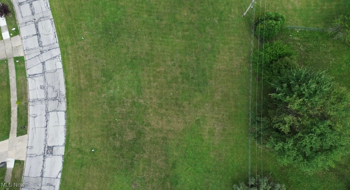 25644 Buckthorn Road Property Photo 19
