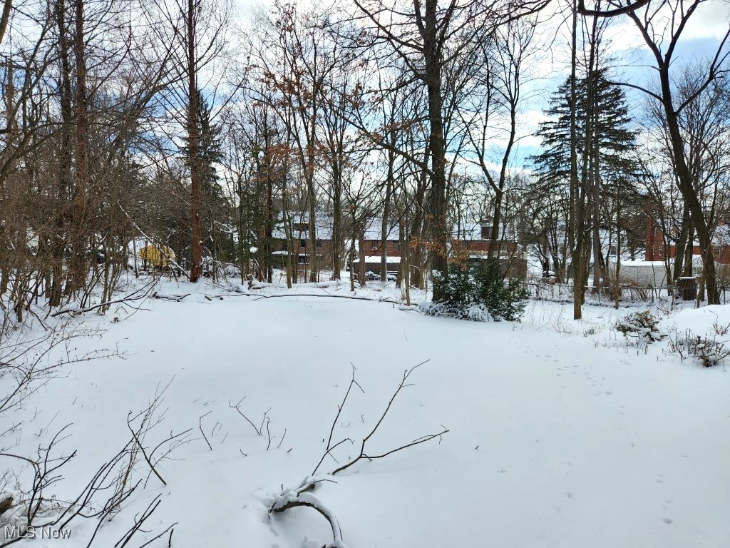 18112 Chagrin Boulevard Property Photo 5