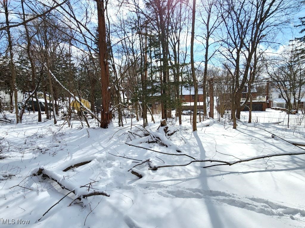 18112 Chagrin Boulevard Property Photo 6