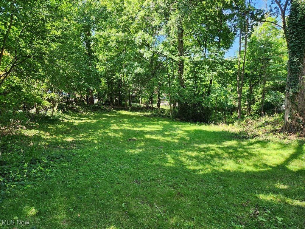 18112 Chagrin Boulevard Property Photo 34