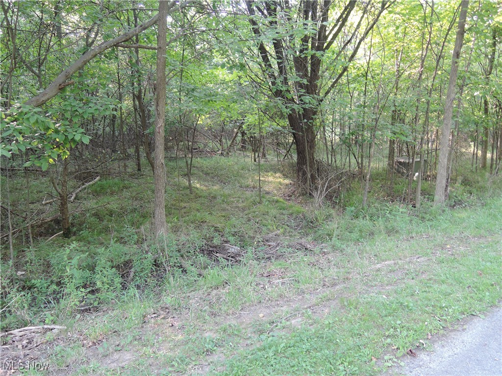 Saint Andrews Property Photo 1