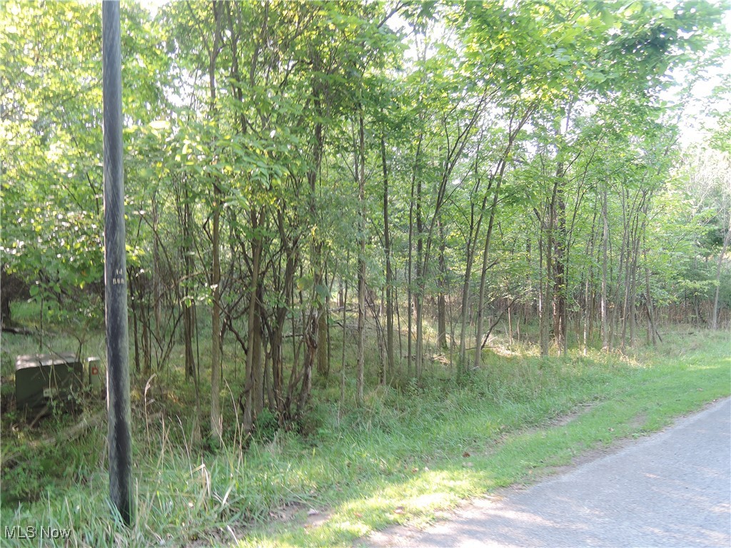 Saint Andrews Property Photo 1