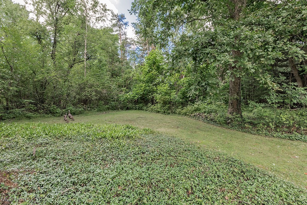 V/l Fairview Road Property Photo 1