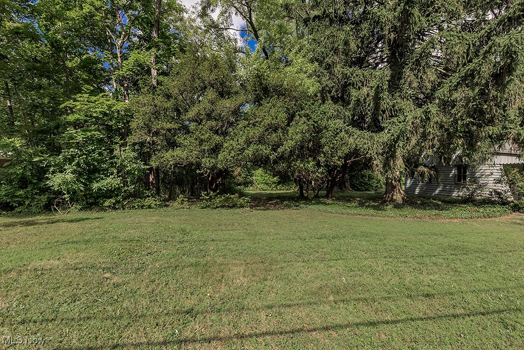 V/l Fairview Road Property Photo 4