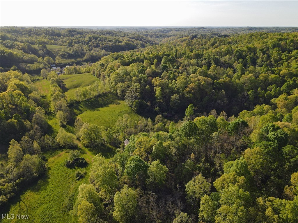 1429 Willow Run Road Property Photo 2